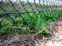 Residentail Chain Link Fence Solutions