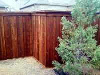Stained cedar fence 2