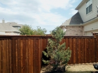 six foot stained fence dallas 3