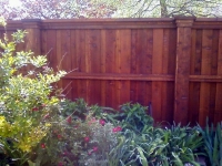 Beautiful cedar fence dallas 3