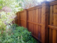 Beautiful cedar fence dallas 4