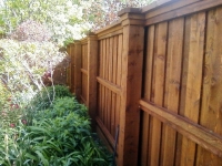 Cedar rails fence